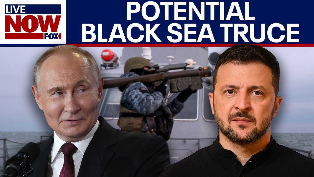 Ukraine reportedly offers Russia truce in Black Sea over food supply fears