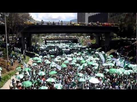 ""Cantar soñar gritar" (Verdolaga acá estoy de nuevo) Séptimo día del hincha verde" Barra: Los del Sur • Club: Atlético Nacional