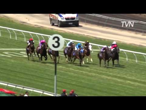 2009 Patinack Farm - All Silent