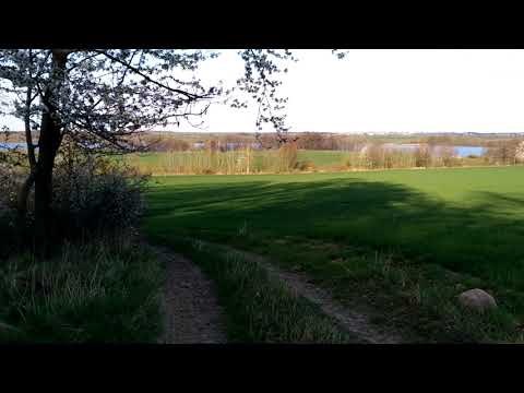 Lęśny spacek - Okolice Zalewu Słup / Powiat Jawor  - 18-04-2022