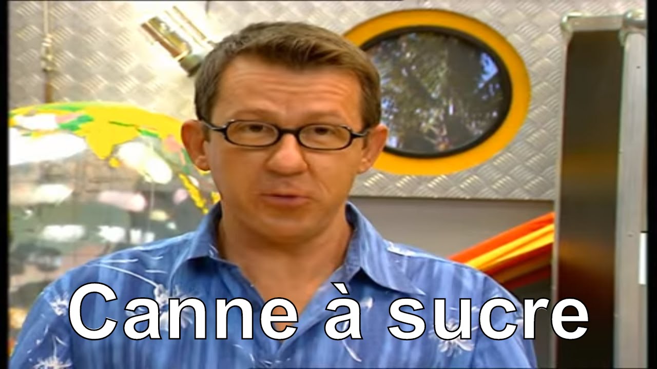 Comment le sucre se forme-t-il dans la canne à sucre  - C'est pas sorcier