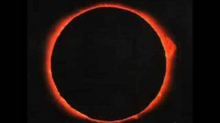 Autumn Leaves - The Discovery