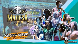 Download lagu NGOBOR KODOK - All artis Mahesa Music - Live REBAT'S Pekalongan‼️ #mahesamusic #dhehanpro mp3 Download lagu NGOBOR KODOK - All artis Mahesa Music - Live REBAT'S Pekalongan‼️ #mahesamusic #dhehanpro mp3
