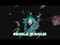 Dani Mocanu 🦁 Regele Junglei 👑 Official Video