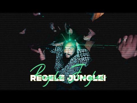 Dani Mocanu - Regele Junglei on Spotify Charts