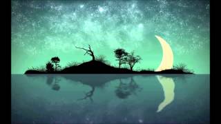 Meat Beat Manifesto - She&#39;s Unreal (Dj GT Remix)