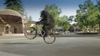 Bruno Bear Feed Your Hunger Fuel Your Joy_bbtv 202422 bike