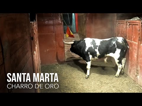 Santa Marta 2024 Charro de Oro