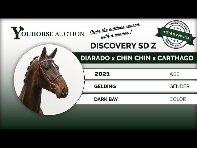 Discovery SD Z
