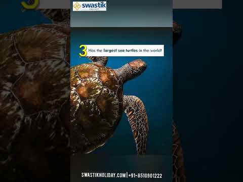 Andaman Islands | Swastik Holidays | Tour and Travel