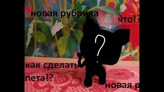 Lps:Лайфхаки#1. Как сделать пета?!