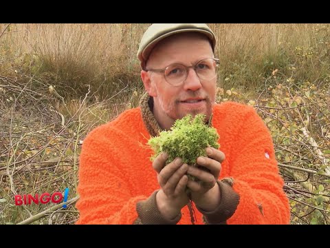 Entkusselung im Venner Moor 🌳🪏