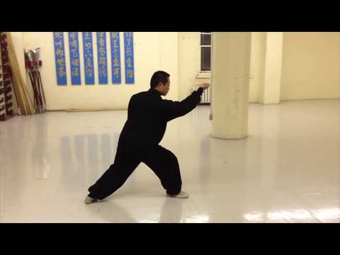 Xing Yi Quan (Hsing-I, 河北形意拳 ) 5 Elements Slow-Motion Demonstration