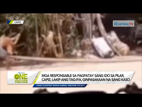 One Western Visayas: Mga responsable sa pagpatay sang ido sa Pilar, Capiz, ginpasakaan na sang kaso