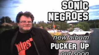 preview picture of video 'Sonic Negroes Commercial (wholly unsolicited)'