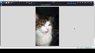 Download the video "Build a Random Cat Image Viewer in Python 🐱  Fun GUI with Tkinter & Cataas API"