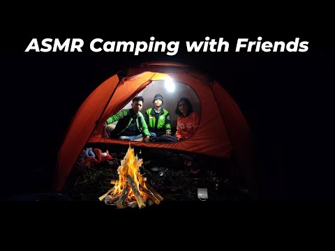 Silent Camping with Friends in the Forest 🌲 | ASMR Nature Sounds (No Talking)