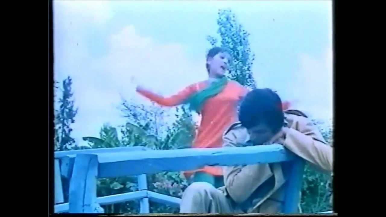 Barsaat Ka Mausam Hai Lyrics | Anokha Andaaz | Sapna Mukherjee, Babul Supriyo | Nadeem Shravan