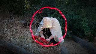 Dummy – “Dip In The Lake”