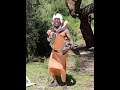 MUGITHI MIX 2 By Wachira Wakarangatha Official