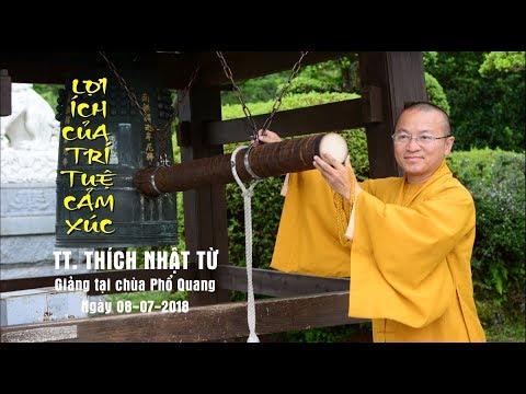 Lợi ích của trí tuệ cảm xúc - TT. Thích Nhật Từ