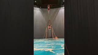 Kaylea wins, flawless victory 🌊👸 #OCirque | Cirque du Soleil