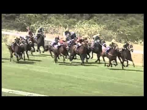 Bravura wins the 2010 Investec Cape Derby (Gr 1)