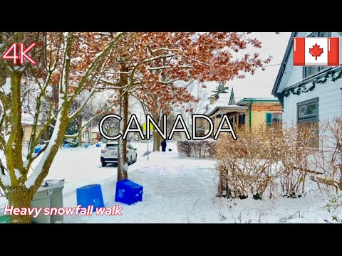 “4K HDR Heavy Snowfall Walk | December 2024 | Winter in Canada”