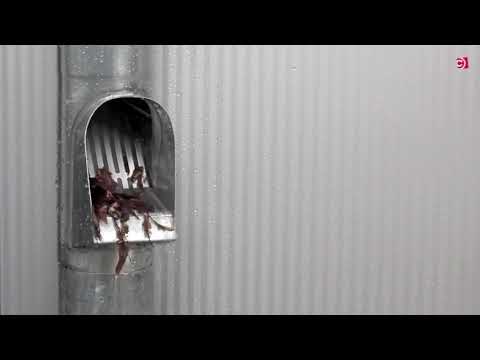 CurtMaxx Fallrohrfilter von concept cursiv