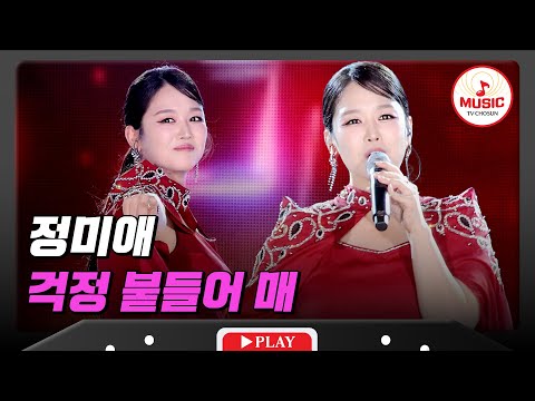 이 노래 들으면 모든 걱정 OUT💥! 스트레스 날려주는💫 정미애의 '걱정 붙들어 매'♪ #슈퍼콘서트 (TV CHOSUN 240630 방송)