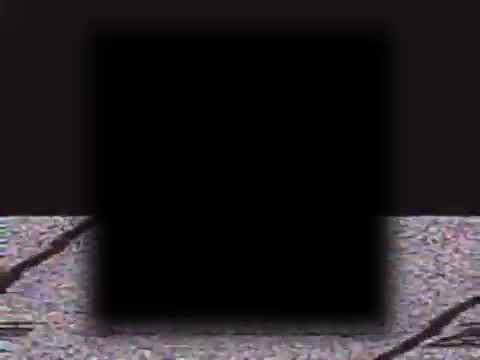 VHS_Hu-plants_Digitization_V1.avi