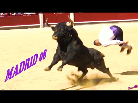 ✅2018 MADRID 08 ◾ Final de España  Recortes