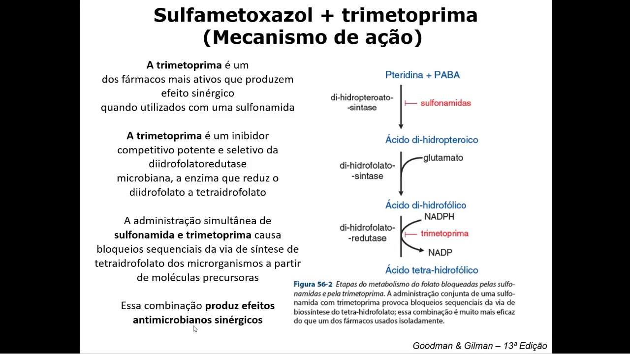 Antibióticos Inibidores de Síntese (parte 3)
