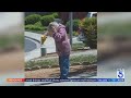 Southern California Woman Suffers 1 000 Bee Stings