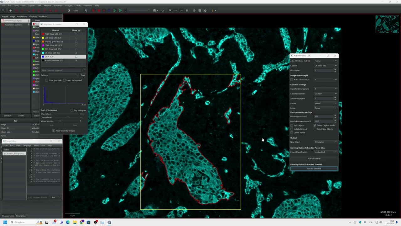 QuPath Script: GUI Auto Threshold Methods QuPath