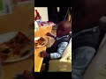Bacon On A Pizza Tantrum