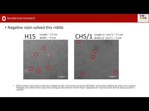 Troubleshooting in cryo-EM Sample Preparation