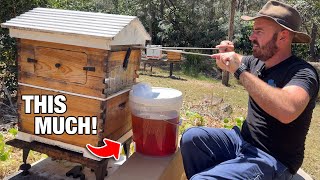 How Much Honey Does a *Fake* Flow Hive Hold?