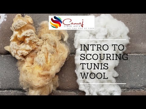 Camaj Fiber Arts - Intro to scouring Tunis wool