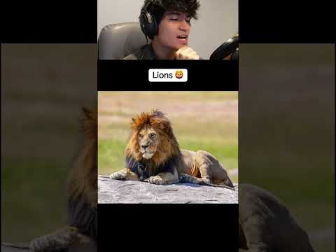 Animals GONE in 2027...