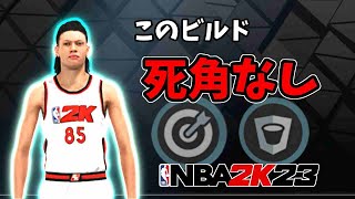 【NBA2K23】ほぼ文句のつけようがないキャラが出来上がりました（レボログ的最初のビルド）