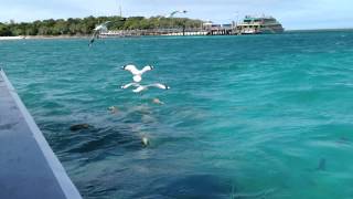 IMG 14681