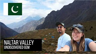 We went to Naltar Valley and Gilgit City on our last day pk