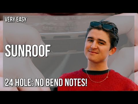 How to play Sunroof by Nicky Youre ft dazy on Tremolo Harmonica 24 Holes (Tutorial)