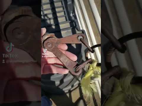 How to clean a rawhide reata