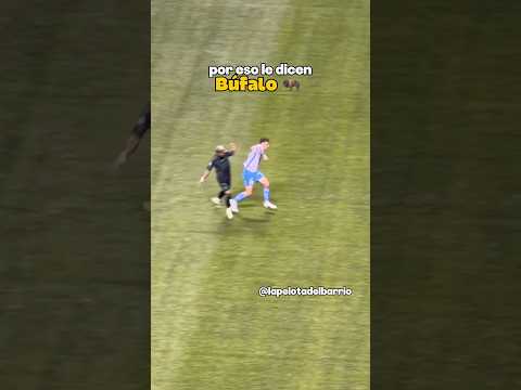 Ya traían pique los 2 🫣#futbol #futboldebarrio #talacha #ligamx #tigres