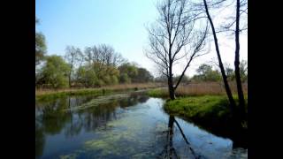 Mein Oderbruch-eine Liebeserklärung an eine besondere Landschaft