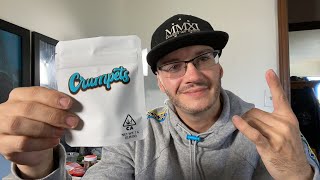 Crumpets LA Review Featuring The Gelato Strain at Blitz Delivery in North Hollywood and Sherman Oaks