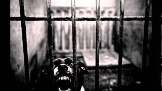 Burial - Dog Shelter (Remix) 23.11.2011 HQ