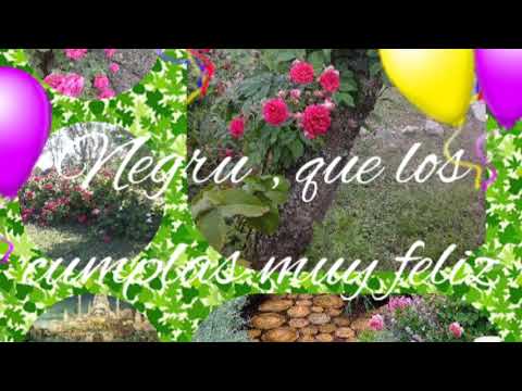 FELIZ CUMPLEAÑOS NEGRU ( HAPPY BIRTHDAY)